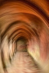 B IMG_2201 v5 P