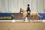 SBM_002173