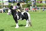 SBM_46980