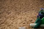 240317A-112404-05573