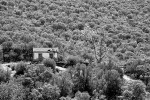 DSC00768-Edit
