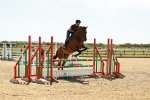 SBM_006690