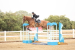SBM_023987