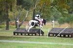 WJ6_3700