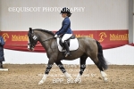 BPP_8279