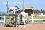 BPP_1481