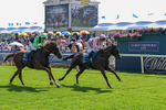 100726-Race 4-Illys Roo-0133