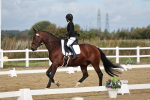 SBM_000909