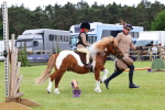SBM_08241
