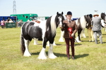 SBM_04262