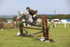 JPP_3997