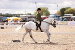 SBM_14437