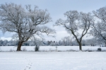 Snow in Malahide Castle 21.01.2021