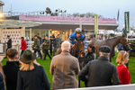151125-Race 7-Divine Diva-4811