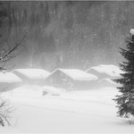 3rd PDI Mist And Snow Andrew Weaver