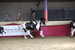 SBM_03001