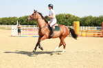 SBM_000115
