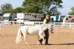 SBM_17640