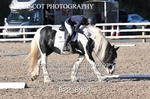 BPP_8992