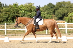SBM_006594