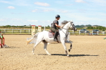 SBM_005082
