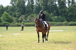 WJ6_5366