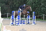 1 British Novice 90cm Open portfolio