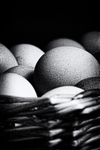 Eggs 05