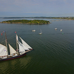 Wylde Swan Tall Ships Rendezvous 2017 Saint John New Brunswick Canada