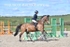 BPP_3544