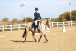 SBM_009087