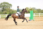 SBM_001653