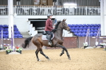 SBM_003279
