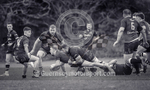 St Jacques Vikings v Bournmouth II-22