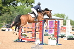 Cls 2 Foxhunter portfolio