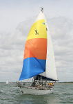 060515 QUARANTA IMG_6894