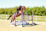 SBM_001914