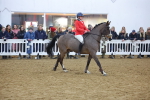 SBM_003587