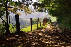 Orio, Camino del Norte, Pays Basque, Spain