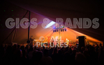 Gig for Colin-53