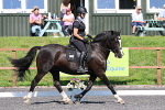 SIAL4715