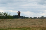 DSCF0914
