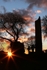 Monasterboice Cemetry