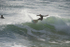 Porthleven 24th October 2015 portfolio