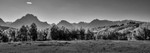 US_2022_015