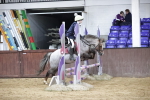 SBM_000494