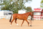 SBM_16598
