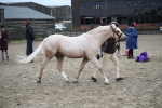 SBM_006416