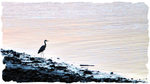 Life At The Basin Edge