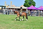 SBM_06110